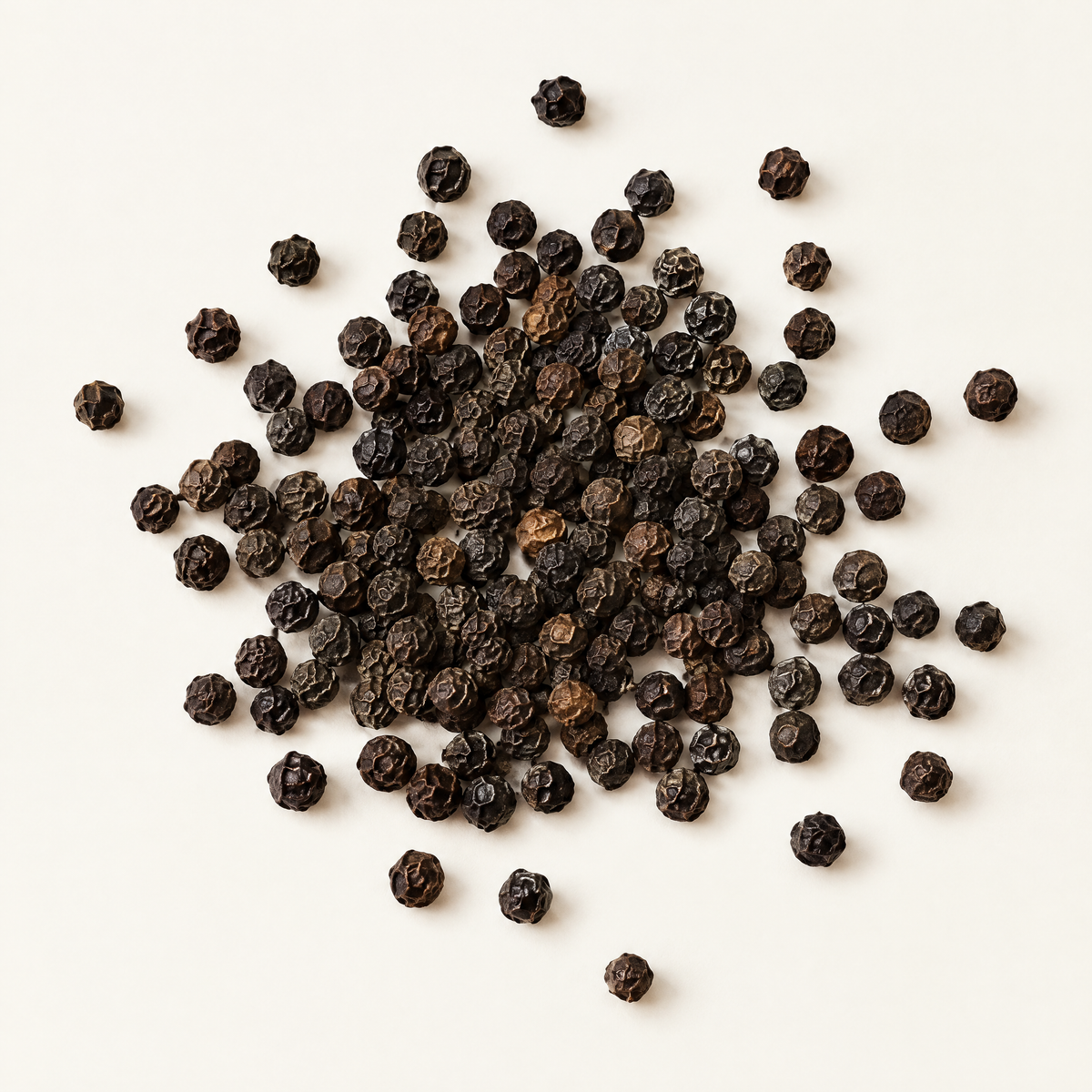 Grains de poivre neelamundi répandus sur fond blanc