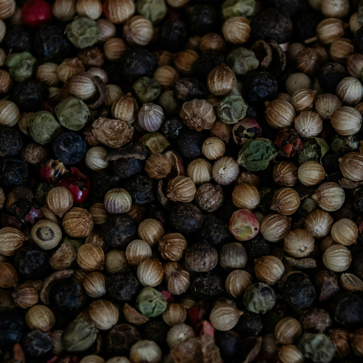 PROVISOIRE — Poivre sauvage de Madagascar