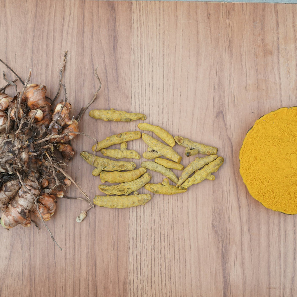 PROVISOIRE — Curcuma « mère » de La Réunion