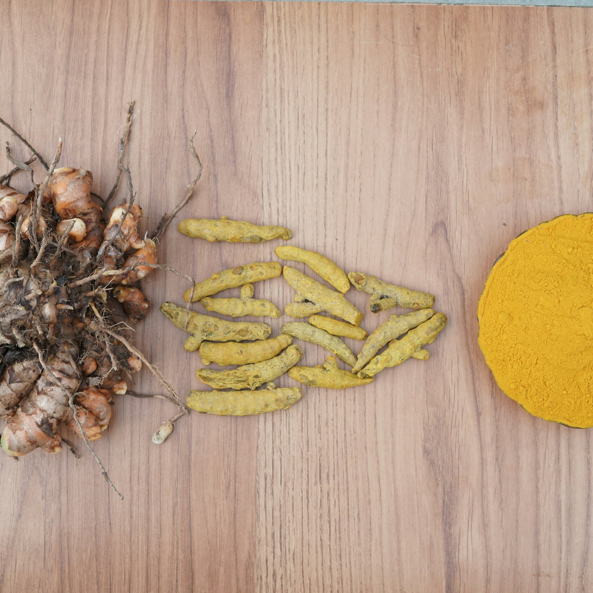 PROVISOIRE — Curcuma « mère » de La Réunion